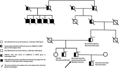 Case Report: Efficacy of Rituximab in a Patient With Familial Mediterranean Fever and Multiple Sclerosis